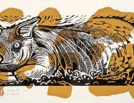Muddy Pig, woodblock and linoleum print, 14" x 24"