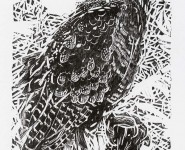 Horned Owl, woodblock print,  16" x 26"