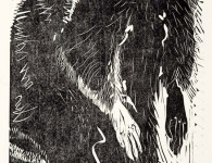 Coon, woodblock print, 22" x 12"