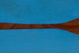Oar #1, mixed media on cedar, 15.5" x 3.5"