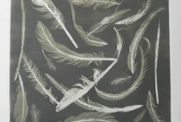 Feathers, monotype, 28" x 27" framed