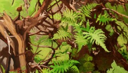 Winter Wren in Wild Garden, oil on canvas, 24" x 24" Winter Wren in Wild Garden, oil on canvas, 24" x 24"