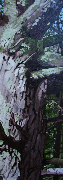 Wolf Tree, oil on canvas, 30" x 10"