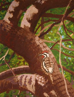 Yellow-Bellied Sapsucker on Old Apple, gouache on paper, 27" x 15" fr.