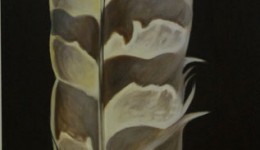 Barred Owl, oil on canvas, 50" x 20"