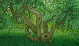 Ralph's Tree, oil on canvas, 26" x 36"