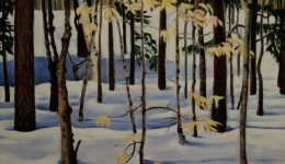 Little Beech, oil on canvas, 20" x 20"