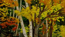 Slifka's Tree, oil on canvas, 22" x 20"