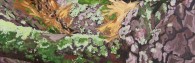 Susan Beebe, White Pine Boughs and Bark with Moss and Lichens, oil on canvas, 8" x 16"