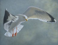 Phil Schirmer, Incoming, egg tempera, 20" x 24"