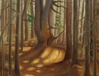 Pine Woods, oil on canvas, 19" x 17"