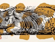 Muddy Pig, woodblock and linoleum print, 14" x 24"