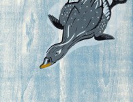 Diving Scoter, woodblock and linoleum print, 20" x 17"