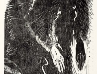 Coon, woodblock print, 22" x 12"